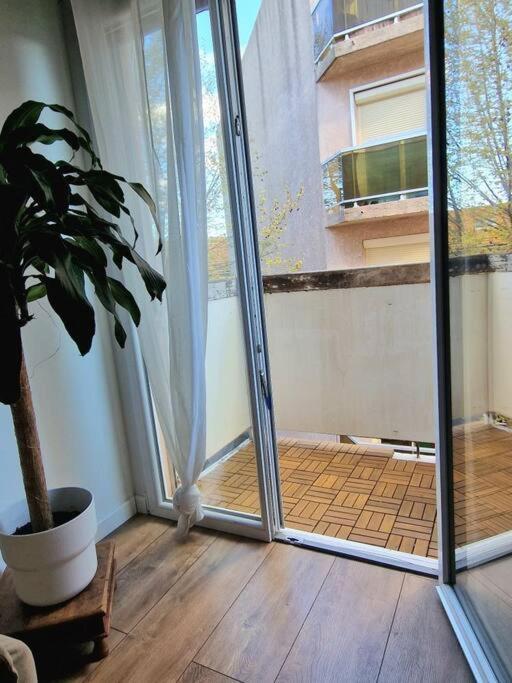 Appartement Cosy A 5 Min Des Plages Hyères Extérieur photo